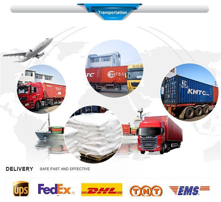 Fluorescent Plexiglass Sheets (22)